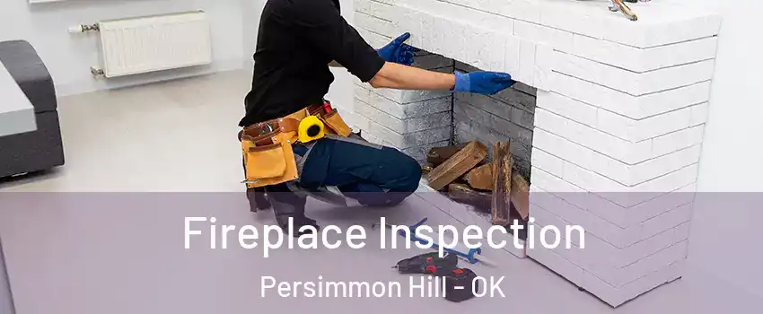 Fireplace Inspection Persimmon Hill - OK