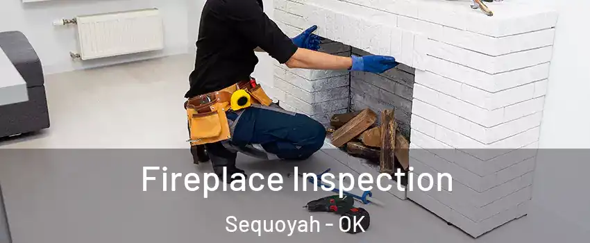 Fireplace Inspection Sequoyah - OK
