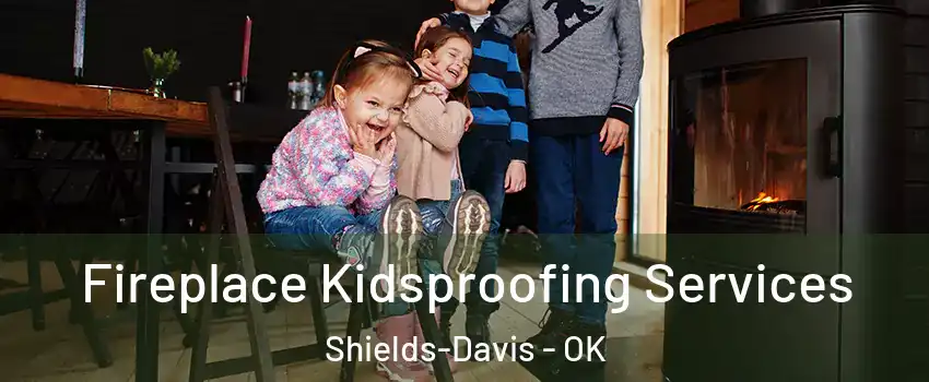 Fireplace Kidsproofing Services Shields-Davis - OK