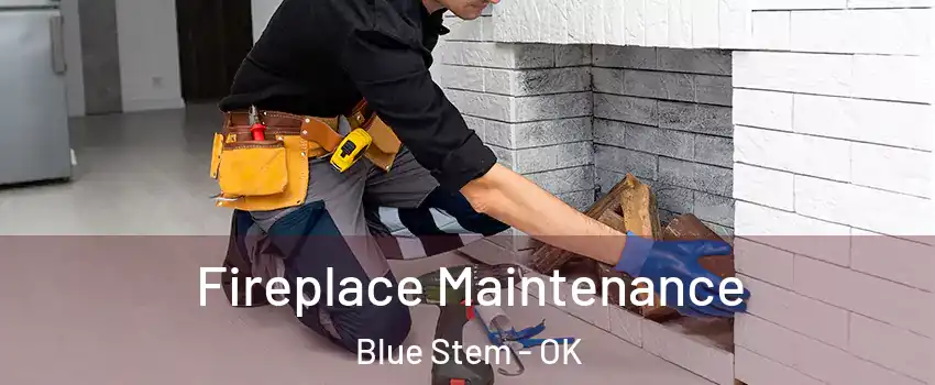 Fireplace Maintenance Blue Stem - OK