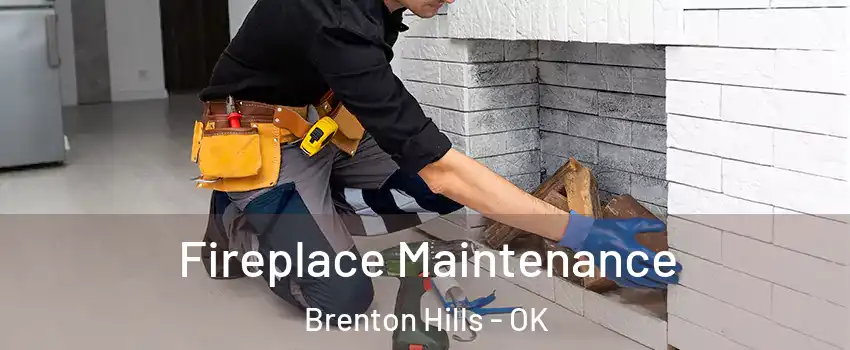 Fireplace Maintenance Brenton Hills - OK
