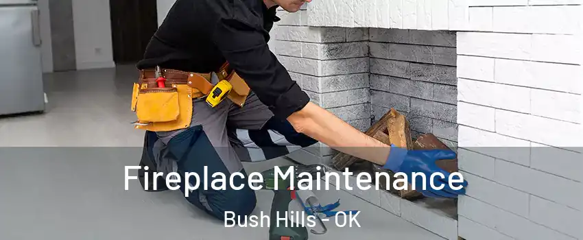 Fireplace Maintenance Bush Hills - OK