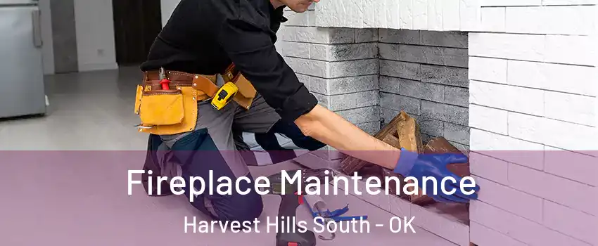 Fireplace Maintenance Harvest Hills South - OK