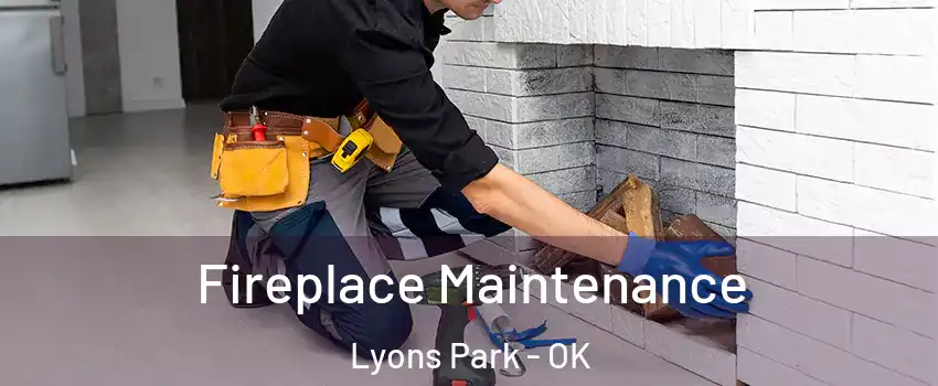 Fireplace Maintenance Lyons Park - OK