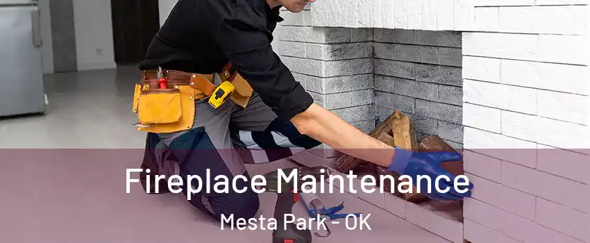 Fireplace Maintenance Mesta Park - OK