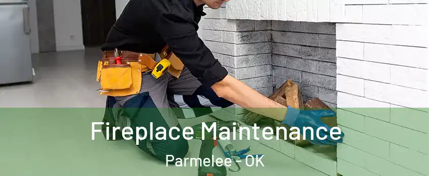 Fireplace Maintenance Parmelee - OK