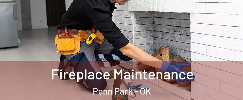 Fireplace Maintenance Penn Park - OK
