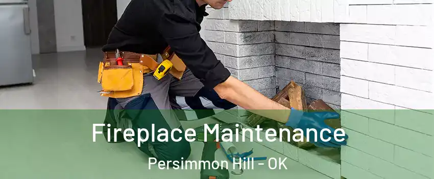 Fireplace Maintenance Persimmon Hill - OK