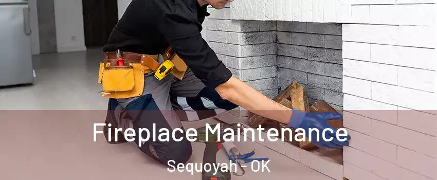 Fireplace Maintenance Sequoyah - OK