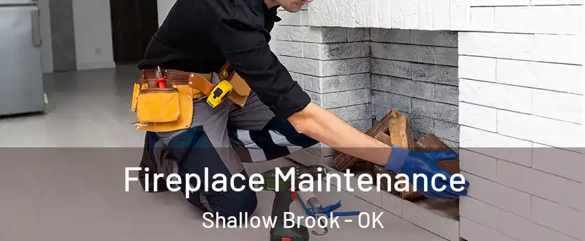Fireplace Maintenance Shallow Brook - OK