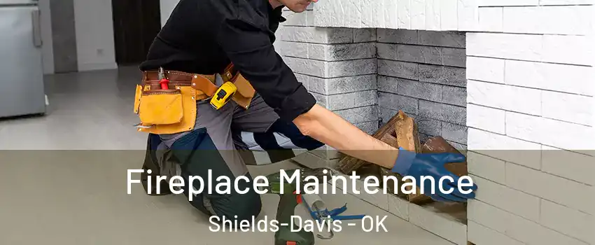 Fireplace Maintenance Shields-Davis - OK