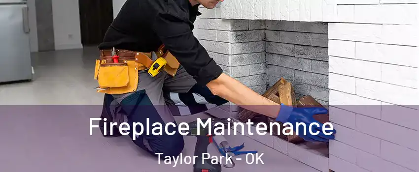 Fireplace Maintenance Taylor Park - OK