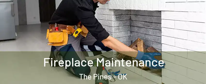Fireplace Maintenance The Pines - OK