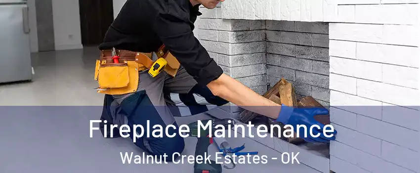 Fireplace Maintenance Walnut Creek Estates - OK