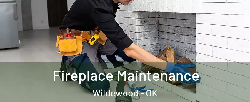 Fireplace Maintenance Wildewood - OK