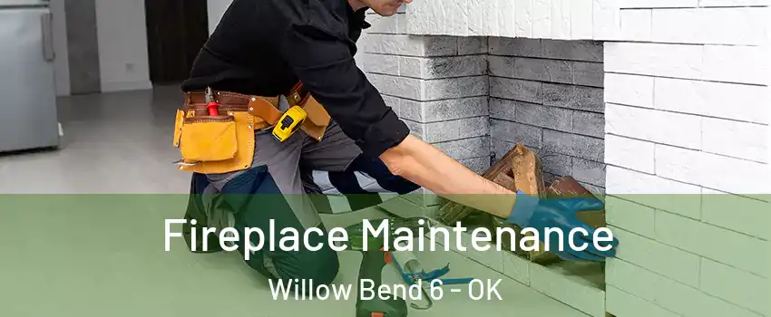 Fireplace Maintenance Willow Bend 6 - OK