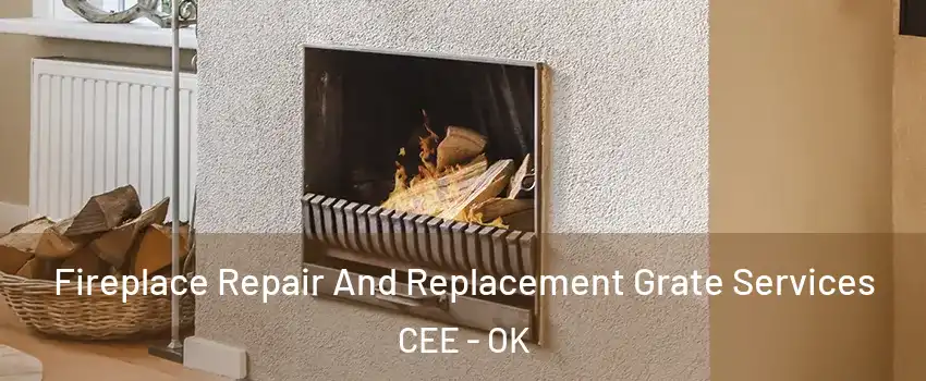 Fireplace Repair And Replacement Grate Services CEE - OK