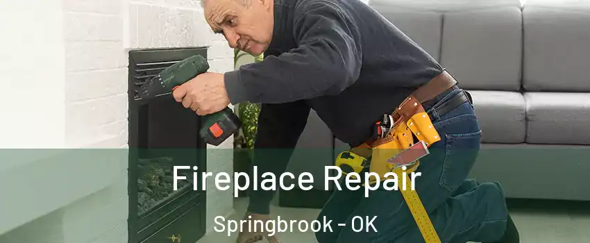 Fireplace Repair Springbrook - OK