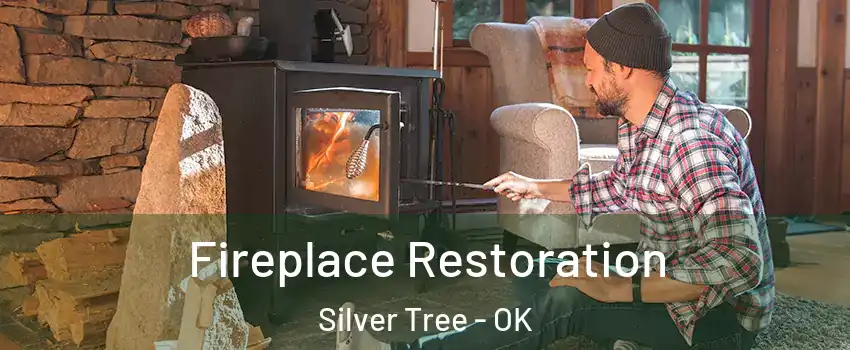 Fireplace Restoration Silver Tree - OK
