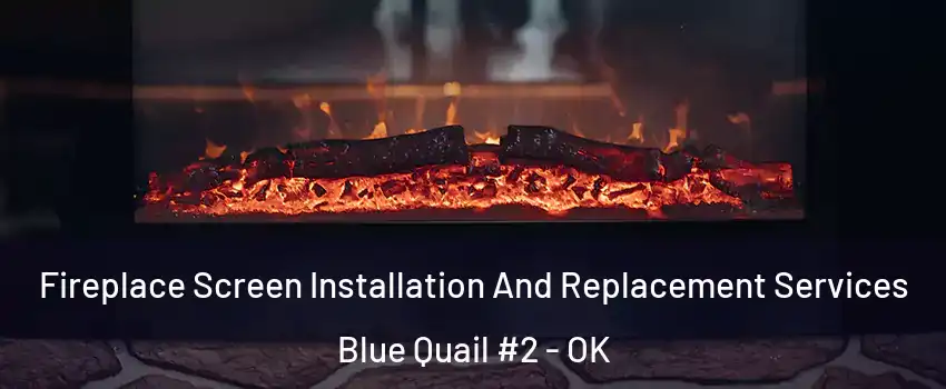 Fireplace Screen Installation And Replacement Services Blue Quail #2 - OK