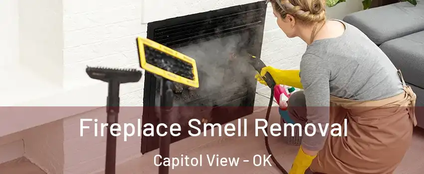 Fireplace Smell Removal Capitol View - OK