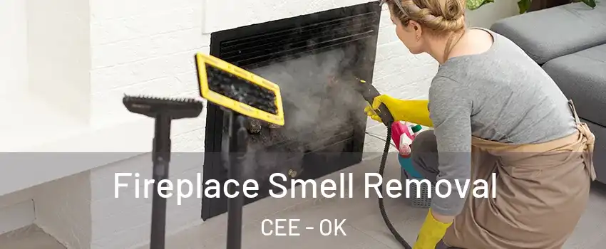 Fireplace Smell Removal CEE - OK
