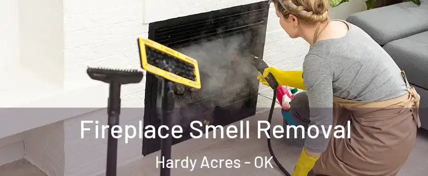 Fireplace Smell Removal Hardy Acres - OK