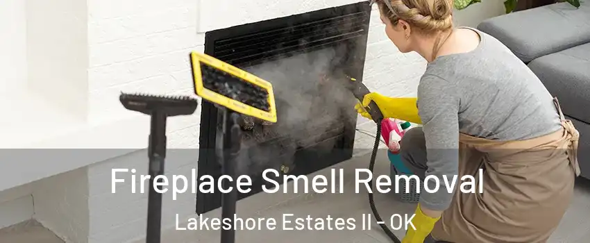 Fireplace Smell Removal Lakeshore Estates II - OK