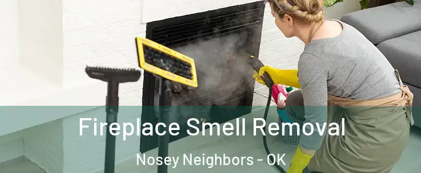 Fireplace Smell Removal Nosey Neighbors - OK