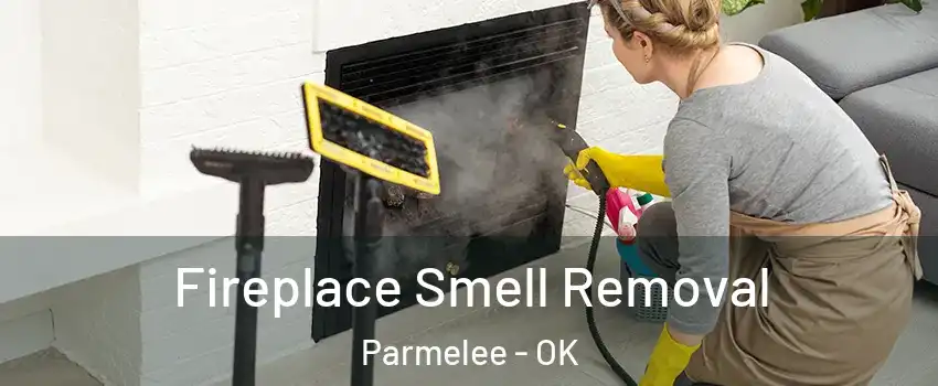 Fireplace Smell Removal Parmelee - OK