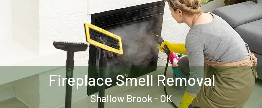 Fireplace Smell Removal Shallow Brook - OK