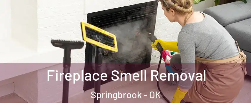 Fireplace Smell Removal Springbrook - OK