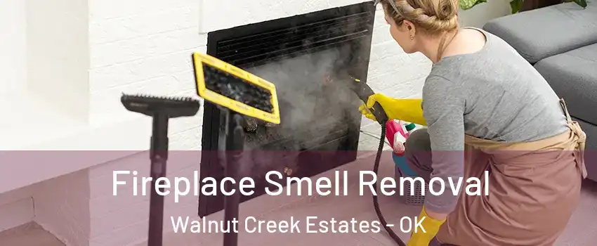 Fireplace Smell Removal Walnut Creek Estates - OK