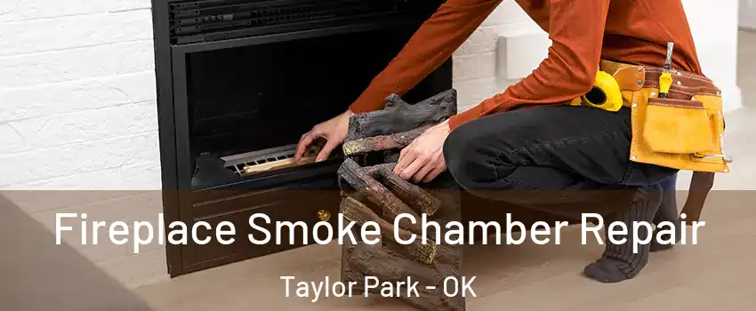 Fireplace Smoke Chamber Repair Taylor Park - OK