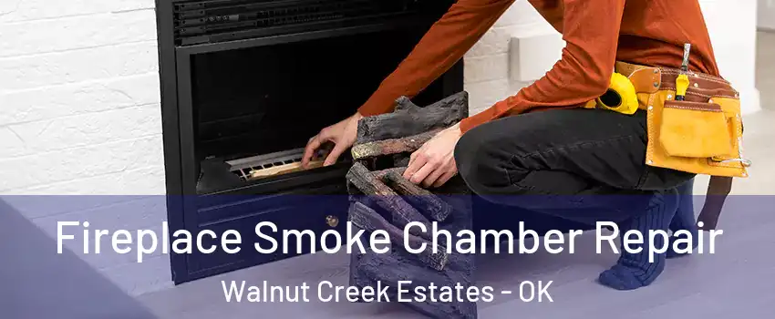 Fireplace Smoke Chamber Repair Walnut Creek Estates - OK