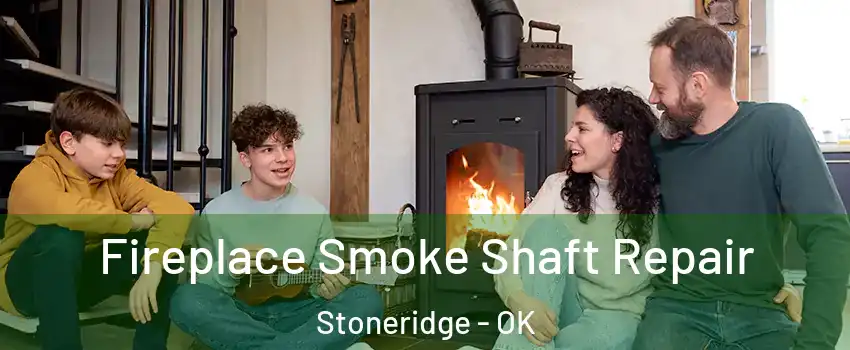 Fireplace Smoke Shaft Repair Stoneridge - OK