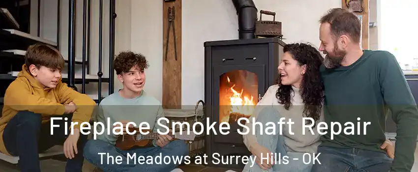 Fireplace Smoke Shaft Repair The Meadows at Surrey Hills - OK