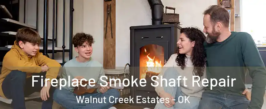 Fireplace Smoke Shaft Repair Walnut Creek Estates - OK