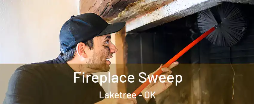 Fireplace Sweep Laketree - OK
