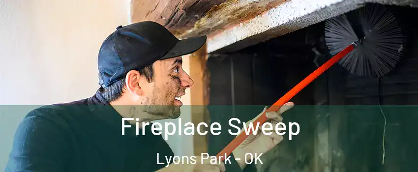 Fireplace Sweep Lyons Park - OK