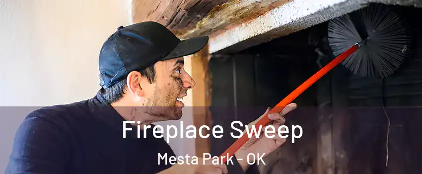 Fireplace Sweep Mesta Park - OK