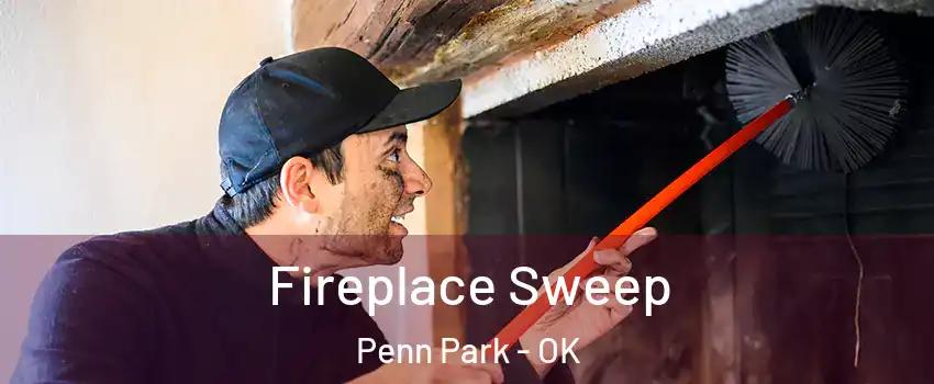 Fireplace Sweep Penn Park - OK