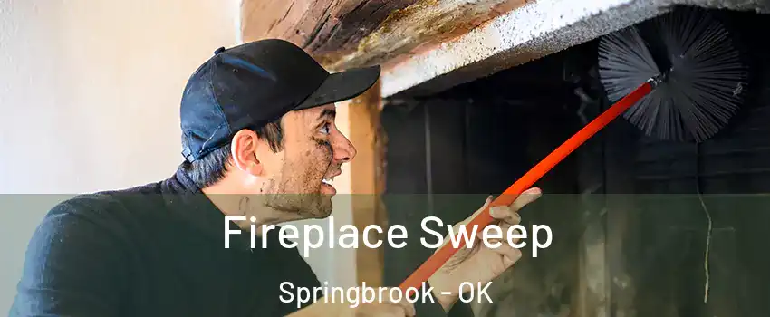 Fireplace Sweep Springbrook - OK