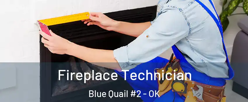 Fireplace Technician Blue Quail #2 - OK