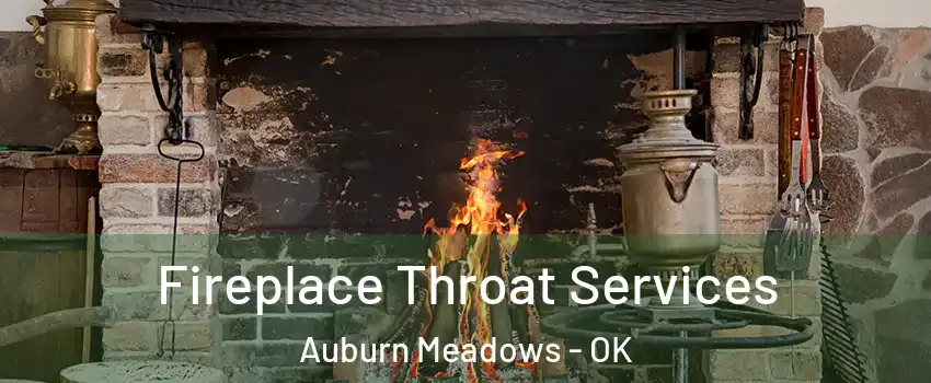 Fireplace Throat Services Auburn Meadows - OK