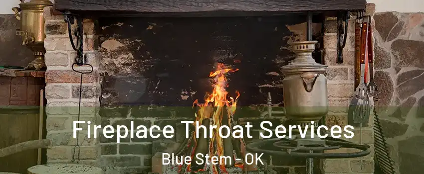 Fireplace Throat Services Blue Stem - OK