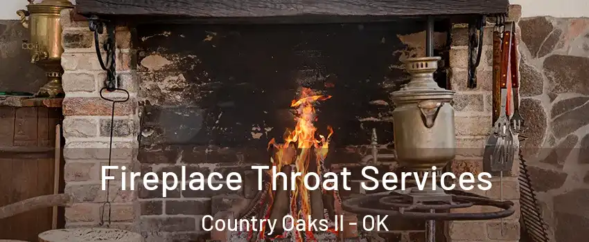 Fireplace Throat Services Country Oaks II - OK