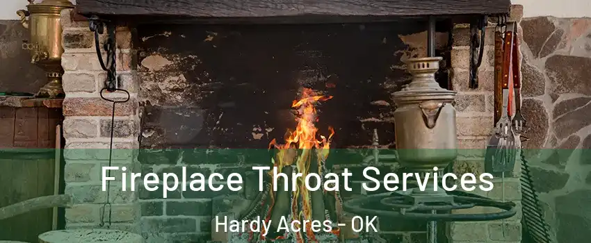 Fireplace Throat Services Hardy Acres - OK