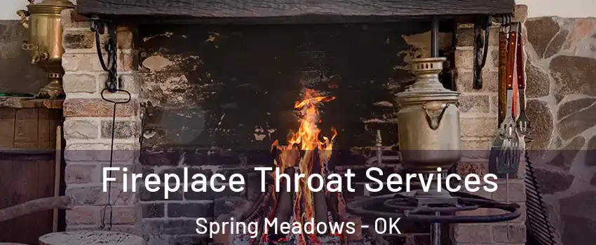 Fireplace Throat Services Spring Meadows - OK