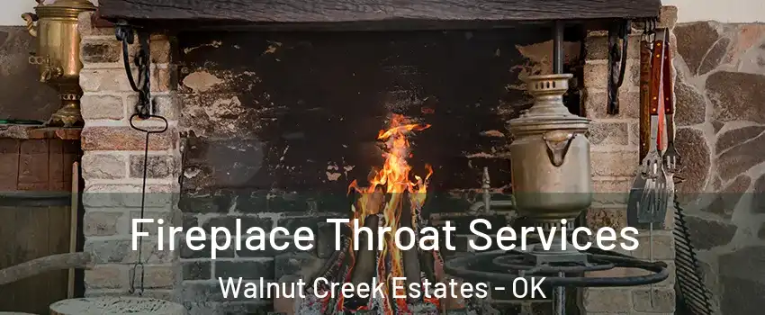 Fireplace Throat Services Walnut Creek Estates - OK